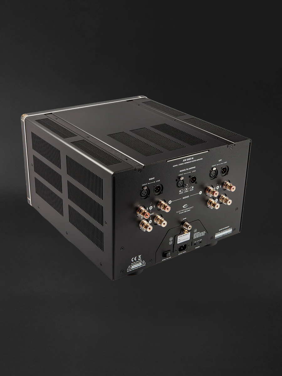 AW-800-M-Reference-Monoblock-Power-Amplifier-02