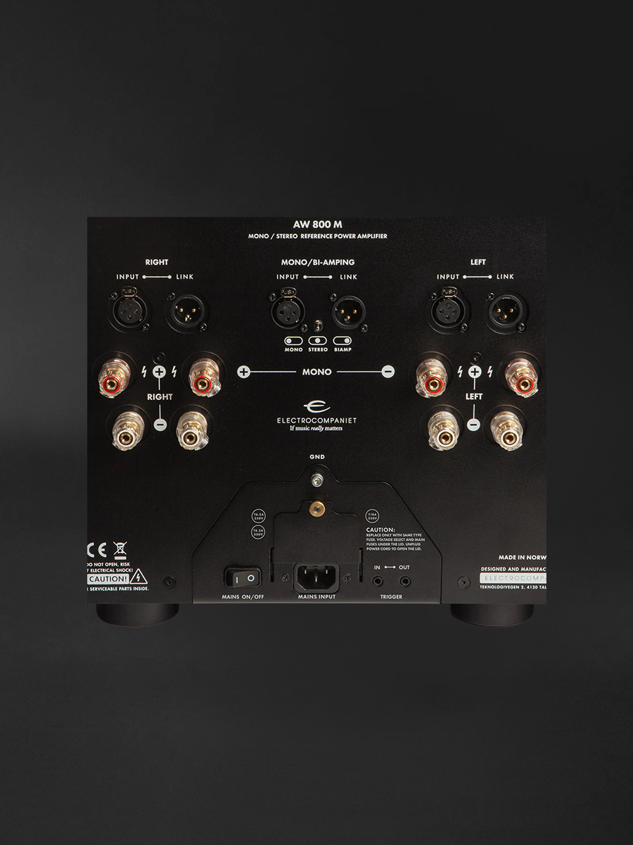 AW-800-M-Reference-Monoblock-Power-Amplifier-03