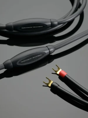 MUSICWAVE