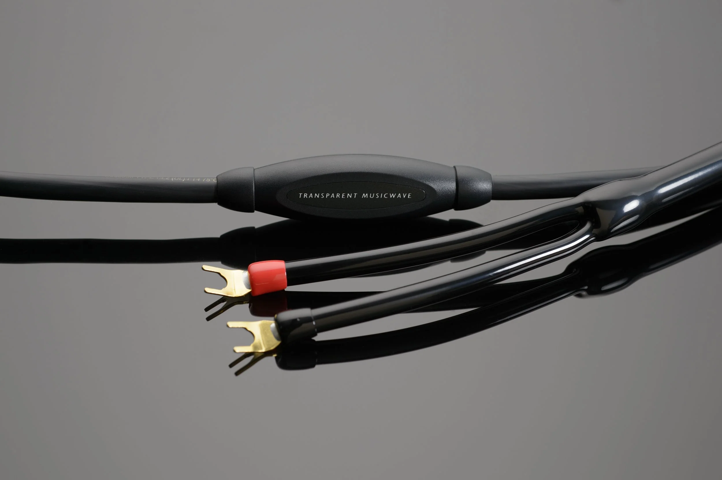 transparent-audio-musiclink-musicwave-musicwave-speaker-cable-34452970438915_5000x